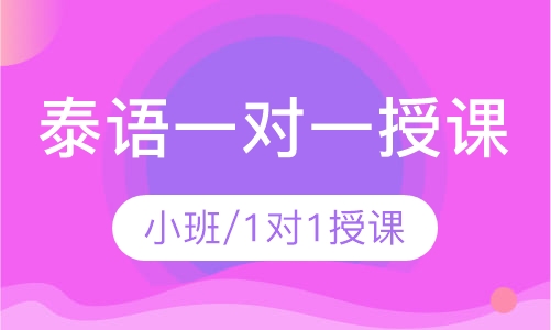 泰语一对一授课