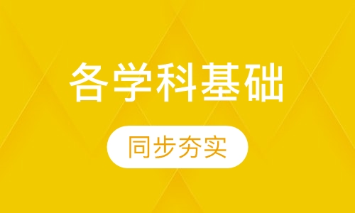 各学科同步夯实基础班