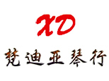 济南市中区梵迪亚琴行