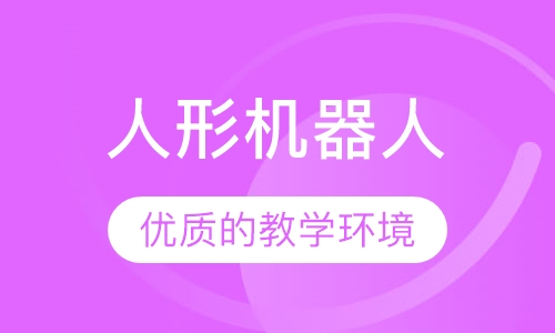 少年派人形机器人