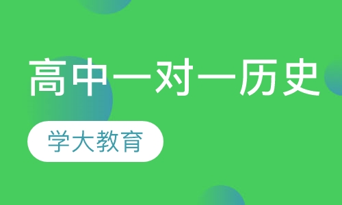 高中一对一辅导历史