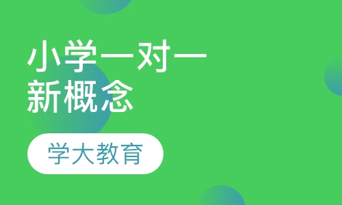 小学一对一辅导新概念