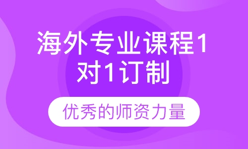 海外专业课程1对1私人订制辅导
