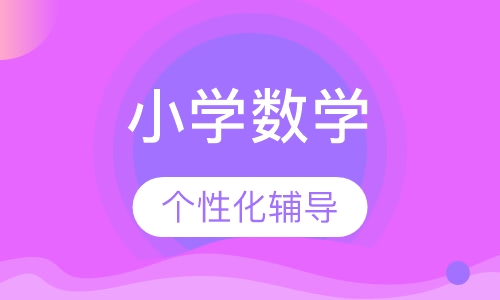 小学数学一对一辅导