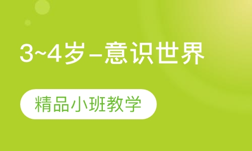 3~4岁-意识世界
