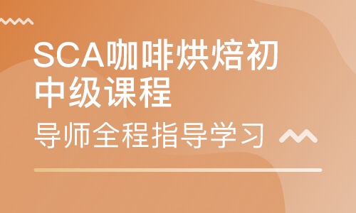 SCA咖啡烘焙初中级课程