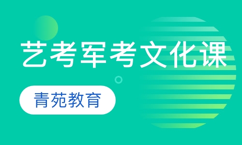 艺考军考文化课辅导