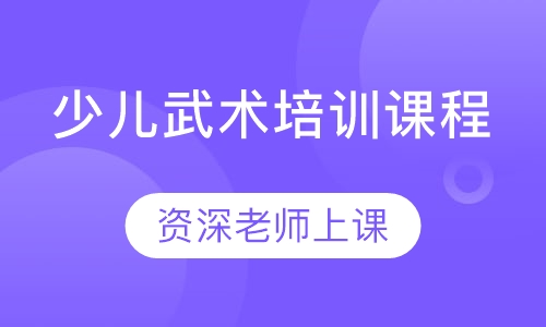 少儿武术培训课程