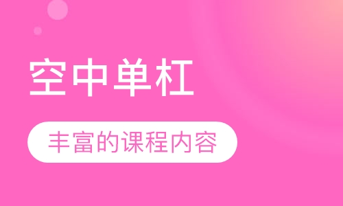 空中单杠
