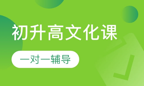 初升高文化课