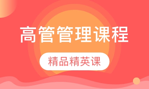 SAP ERP海外高管管理课程