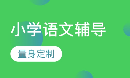 小学语文辅导一对一