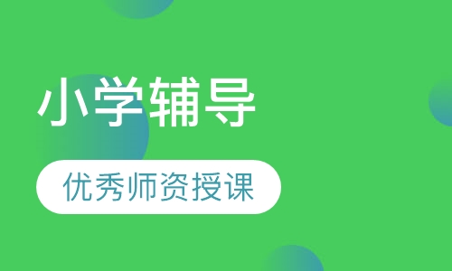 小学辅导