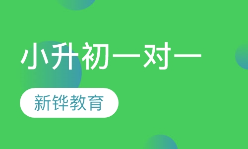 小升初一对一