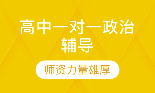 高中一对一政治辅导