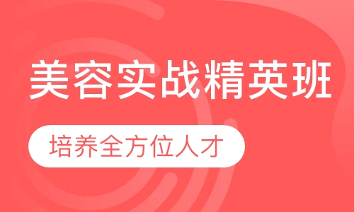 实战精英班