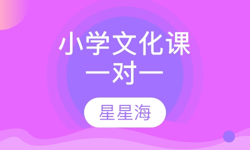 小学文化课一对一辅导