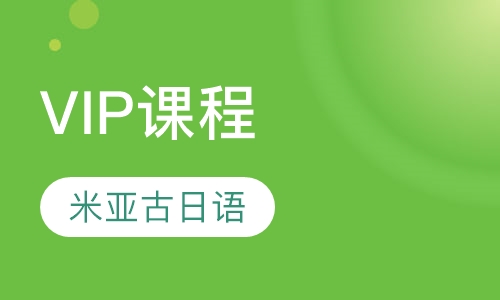 对日汉语VIP课程
