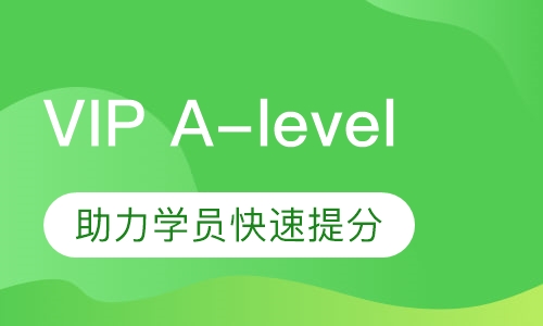 VIP A-level(社会）