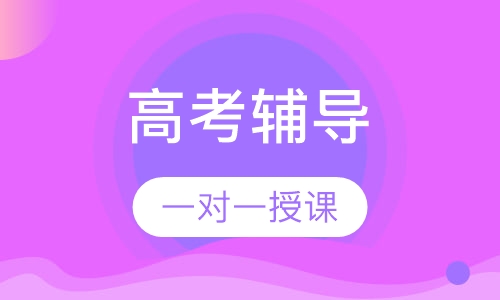 高考一对一辅导