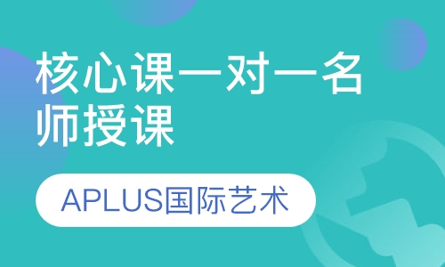 APLUS艺术作品集核心课一对一名师授课