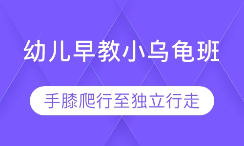 幼儿早教小乌龟班