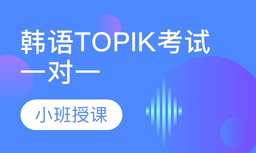 韩语TOPIK考试一对一辅导