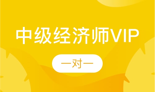 中级经济师VIP班