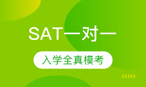 SAT一对一