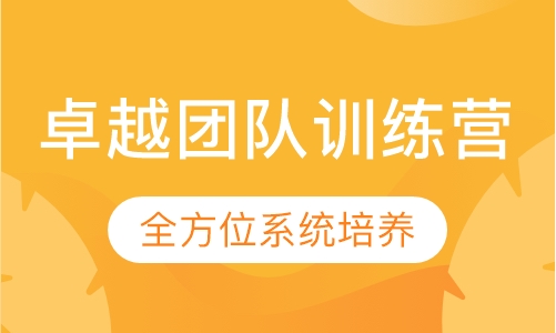 跨境电商企业管理——卓越团队训练营