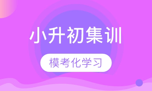 小升初集训