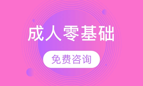 成人零基础