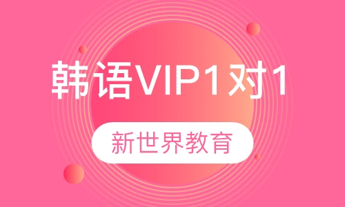 韩语VIP1对1课程