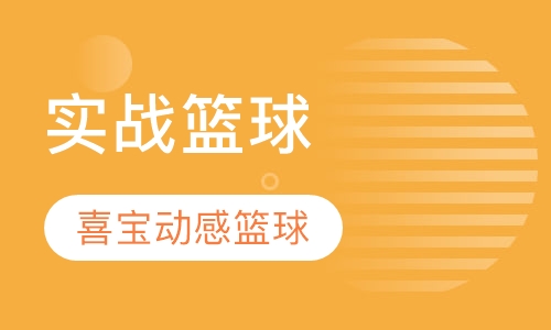 实战篮球