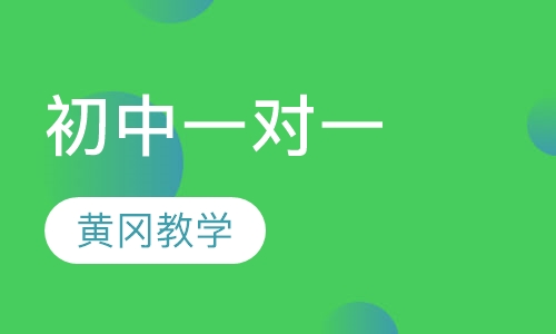 初中一对一