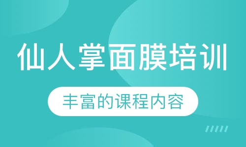 仙人掌面膜培训