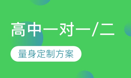 高中一对一/一对二