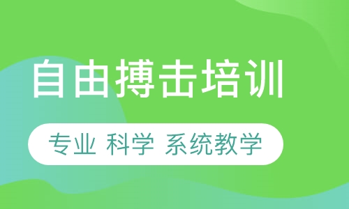 自由搏击