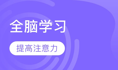 全脑学习