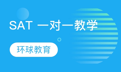 SAT 一对一教学