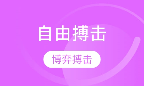 自由搏击