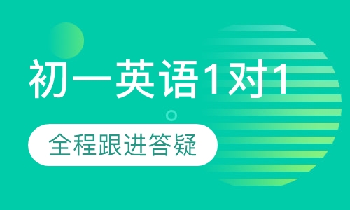 初一英语1对1辅导