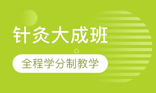 针灸大成班