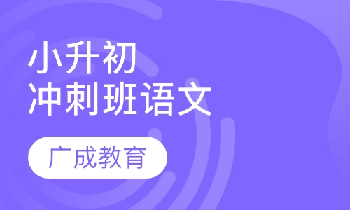 小升初冲刺班语文