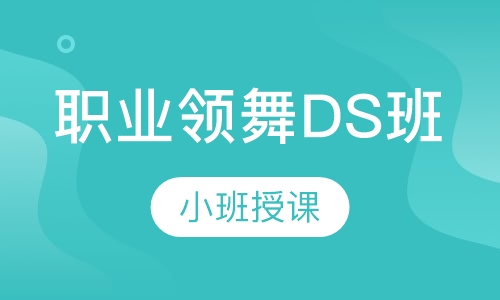 职业领舞DS班