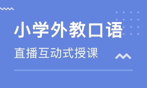 小学外教兴趣口语课