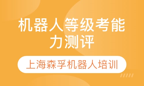 机器人等级考能力测评