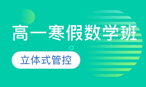高一寒假数学班
