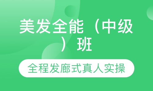 美发全能（中级）班