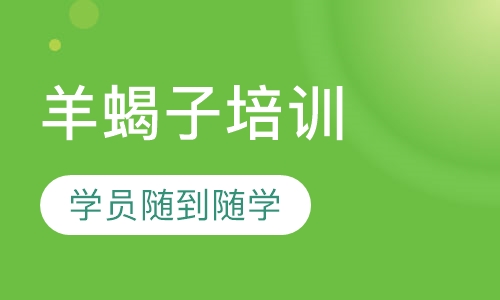 羊蝎子培训